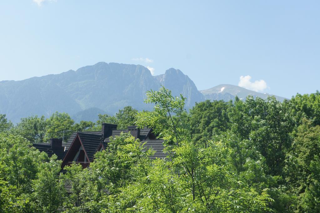 Apartamenty Stara Polana Zakopane Exterior photo